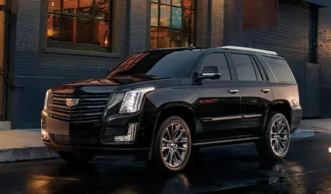 Fll Airports Limo Contact Us